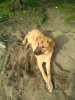 IMG-20191207-WA0005.jpg