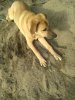 IMG-20191207-WA0002.jpg