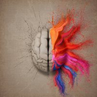 Johan-Swanepoel-The-Creative-Brain[1].jpeg