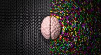 Allan-Swart-Left-Brain-Right-Brain[1].jpg