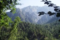 sarp_dagi_nin_byk_bir_bolm_artik_milli_park[1].jpg