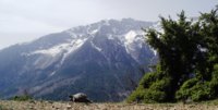 sarp_dagi_koprl_kanyon_milli_parkina_dahil_edildi[1].jpg