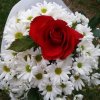 20190903_213940.jpg