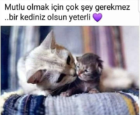 1583599039005.png