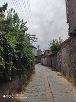 IMG_20200713_133621.jpg
