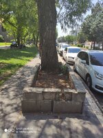 IMG_20200718_133152.jpg