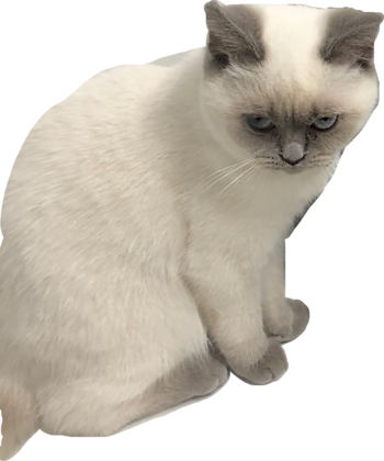 B087CD41-7388-4719-8A19-E026FF7E6A18.png