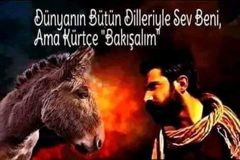 FB_IMG_1721608911582.jpg