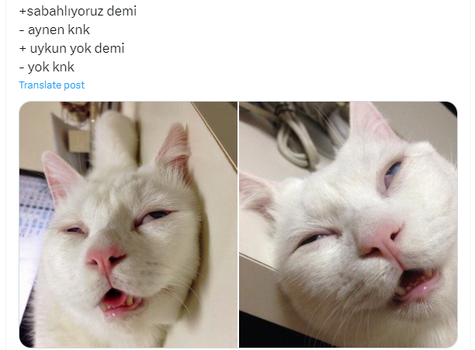 1727938101362.png