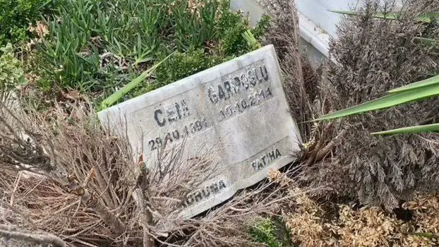 1728376584324.png