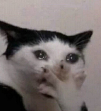 1729840694443.png 1729840694443.png