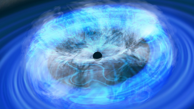 1731997153879.png