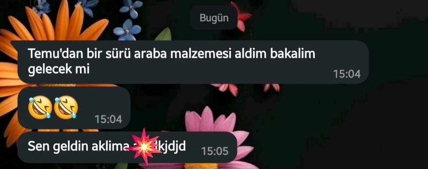 Screenshot_20241120_152534_WhatsApp.jpg