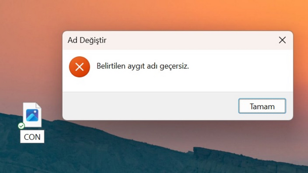 1732258485697.png