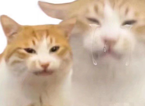 1733131398307.png