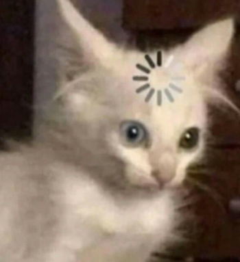 1733492331264.png 1733492331264.png