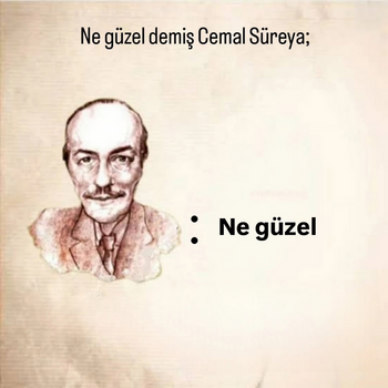 1734008193675.png 1734008193675.png