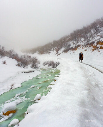 IMG_0974.jpeg