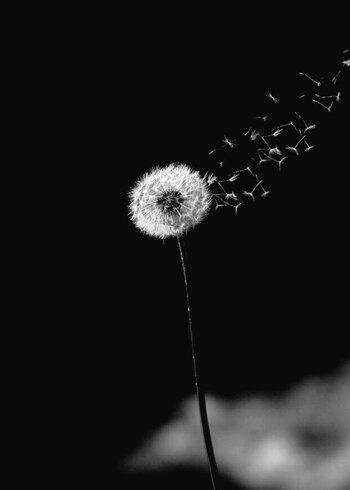 Screenshot_2025-01-11-03-27-35-288_com.twitter.android-edit.jpg