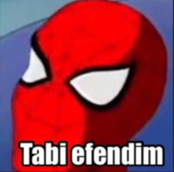 IMG_3134.png