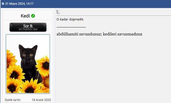 düşmez kalkmaz bir kedi.JPG