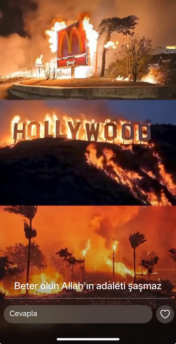 1737477609806.png