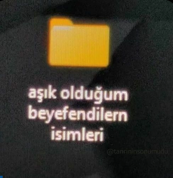 1737704635703.png