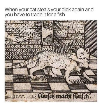 IMG_3212.jpeg