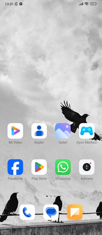 Screenshot_2025-01-30-13-01-34-737_com.miui.home.jpg