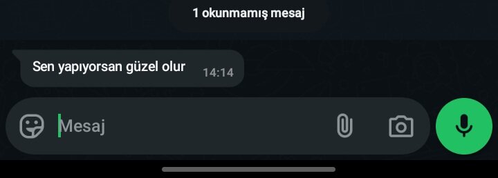 1000058384.jpg