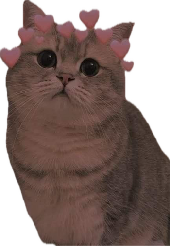 1739372434075.png