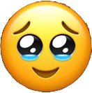 1739894926462.png 1739894926462.png