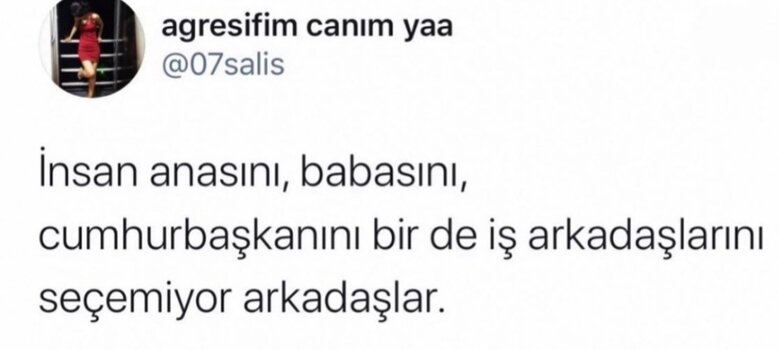 1000012930.jpg
