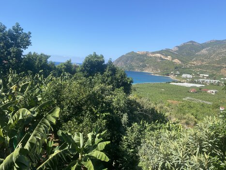 IMG_0014.jpeg