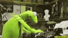 IMG_4699.gif