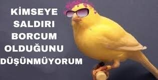 images (39).jpeg