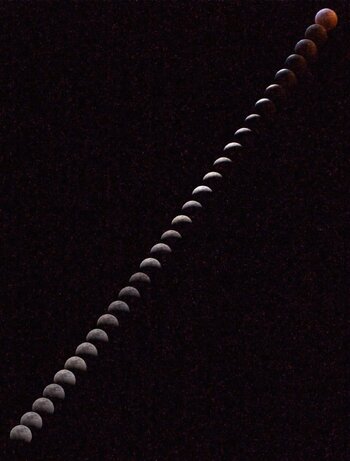 IMG_0243.jpeg