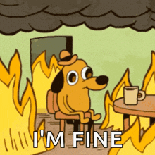 this-is-fine.gif this-is-fine.gif