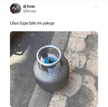 1744437365568.jpeg