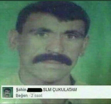 IMG_6978.jpeg