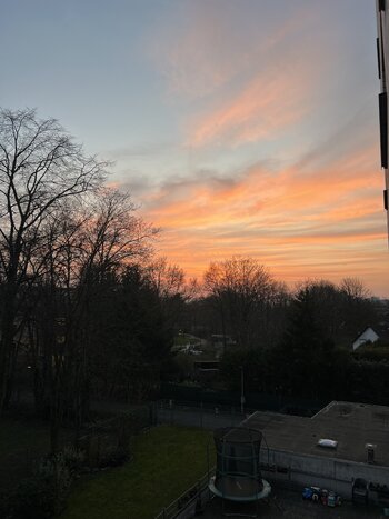 IMG_5017.jpeg