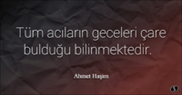 1595118597389.png