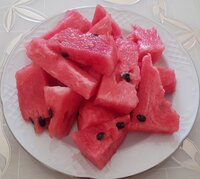 20200719_165229.jpg