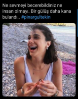 1595397103182.png