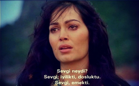sevgnyedi[1].png
