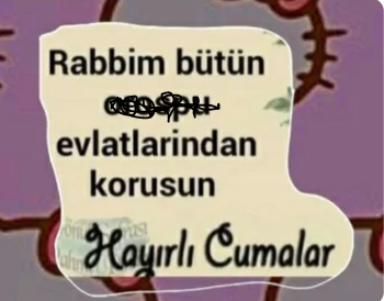 1745561896793.png