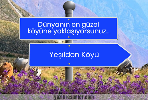 IMG_2767.png