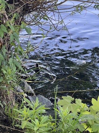 IMG_5564.jpeg