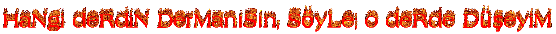 IMG_3540.gif