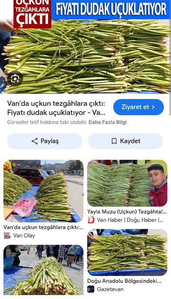 Screenshot_2025-05-07-11-06-21-290_com.android.chrome-edit.jpg Screenshot_2025-05-07-11-06-21-290_com.android.chrome-edit.jpg